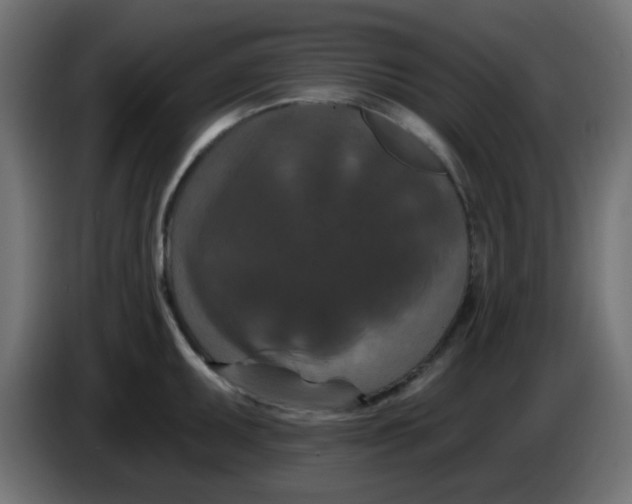 X0000086051095200704131951