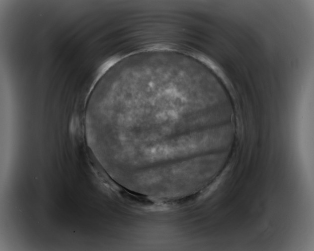 X0000086051097200704131951