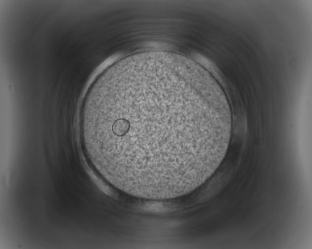 X0000086051098200704131951
