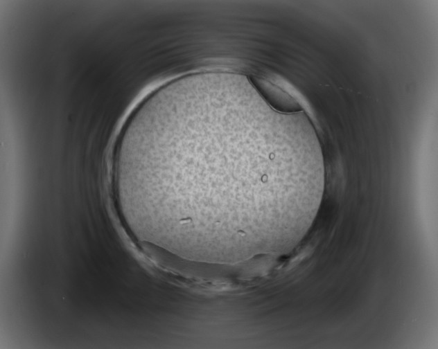 X0000086051099200704131951