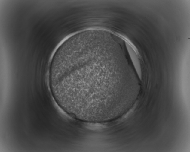 X0000086051100200704131951