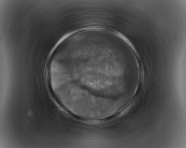 X0000086051101200704131951
