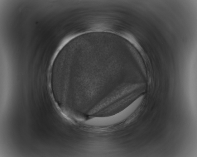 X0000086051102200704131951
