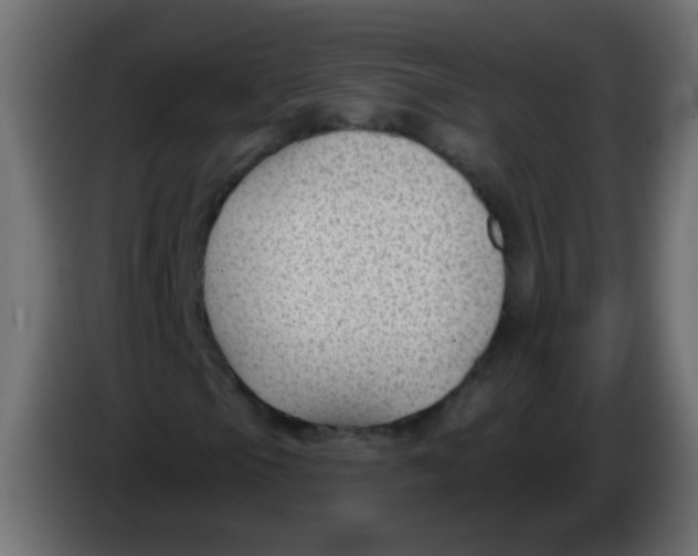 X0000086051105200704131950