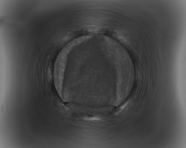 X0000086051106200704131950