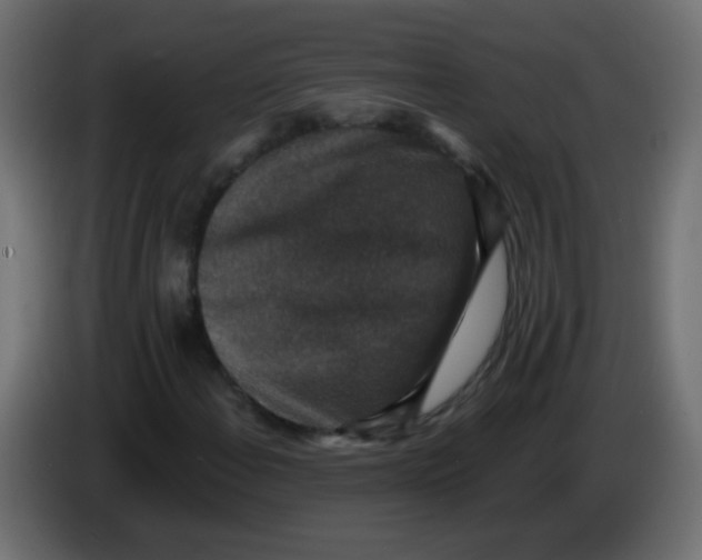X0000086051108200704131950