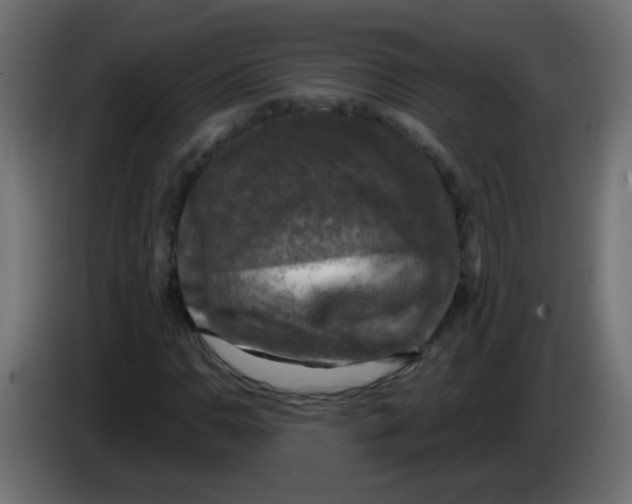 X0000086051110200704131950