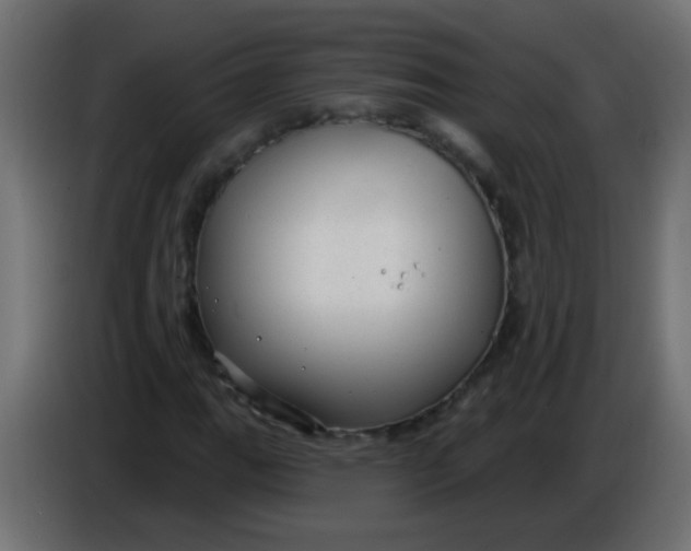 X0000086051111200704131950