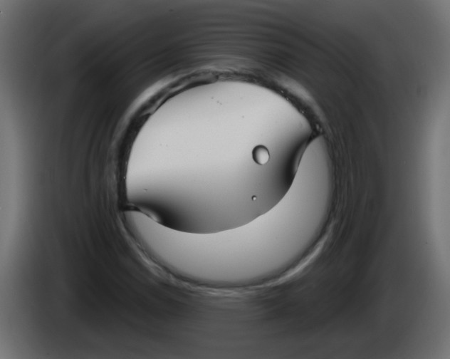 X0000086051114200704131950