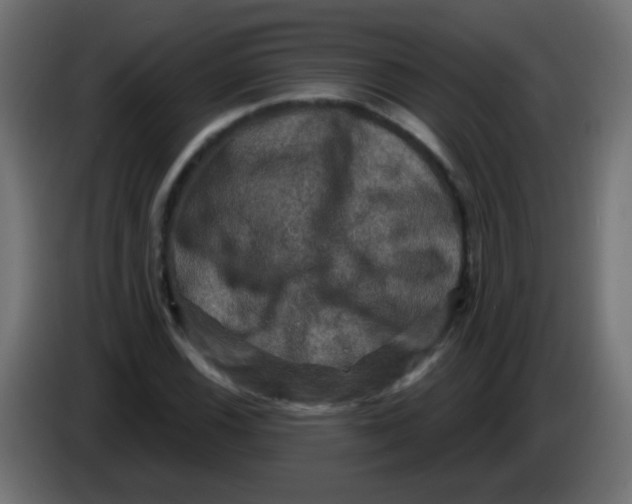 X0000086051116200704131950