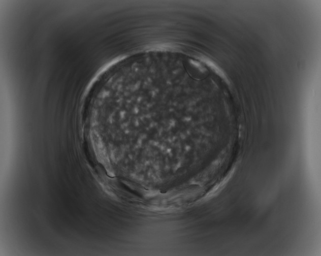 X0000086051117200704131950
