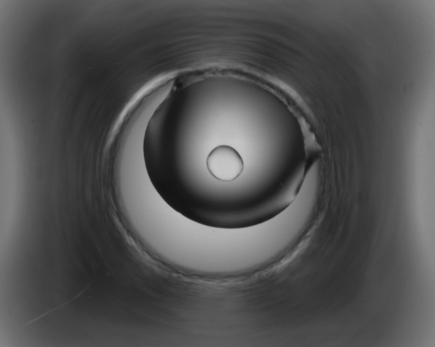 X0000086051118200704131950