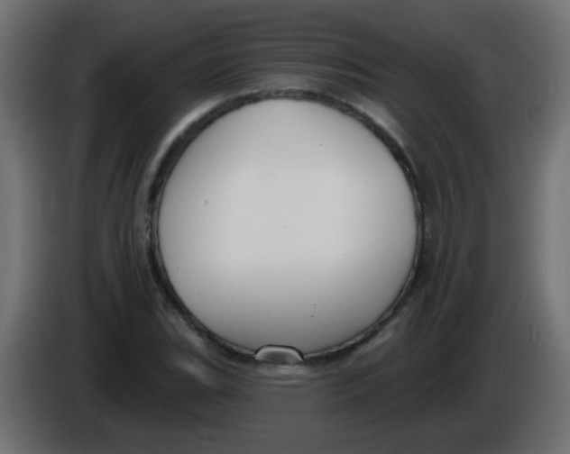 X0000086051119200704131950