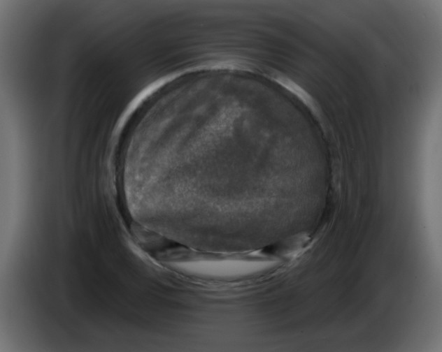 X0000086051120200704131950