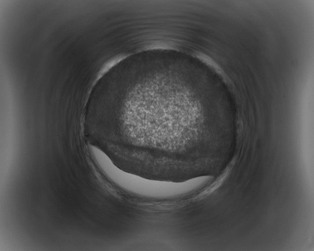 X0000086051121200704131950
