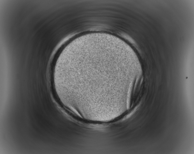 X0000086051122200704131950