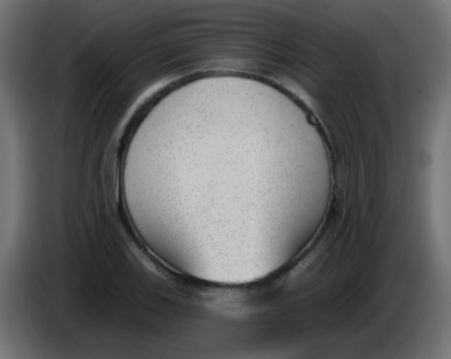 X0000086051123200704131950