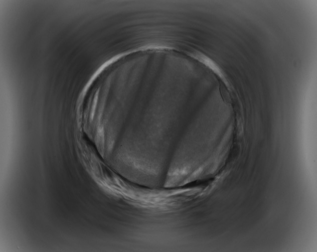 X0000086051124200704131950