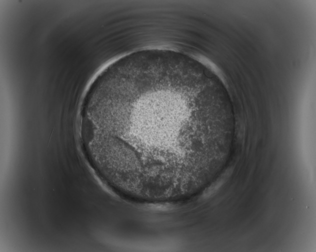 X0000086051125200704131950