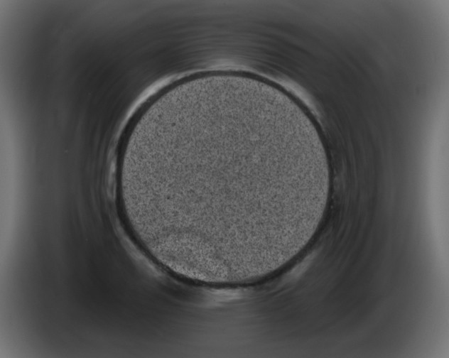 X0000086051126200704131950