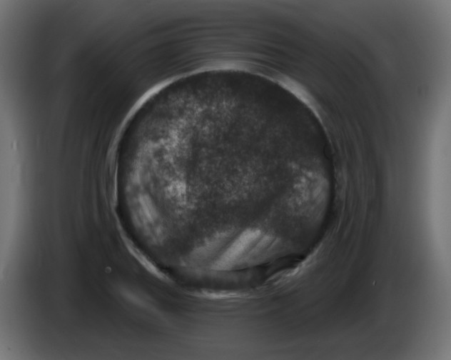 X0000086051127200704131950