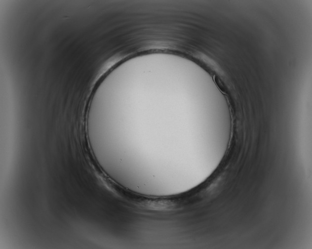 X0000086051129200704131950