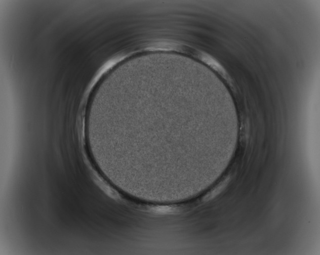 X0000086051130200704131950