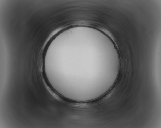 X0000086051131200704131950