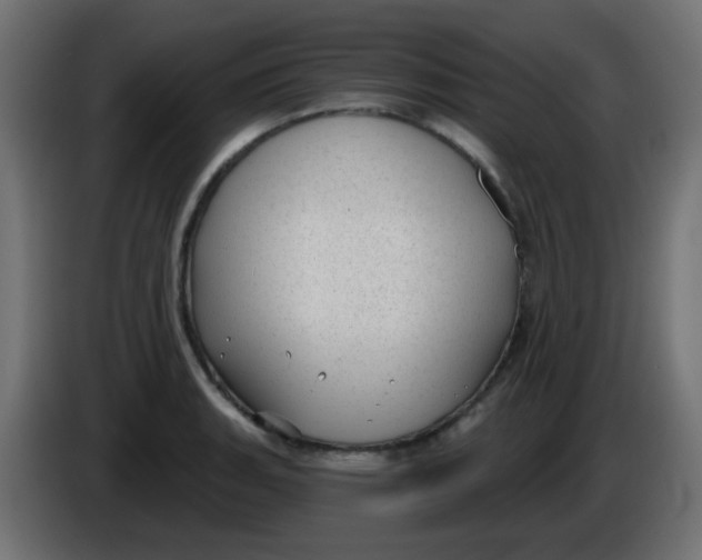X0000086051135200704131950