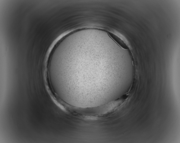 X0000086051136200704131950