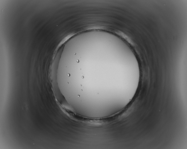 X0000086051137200704131950