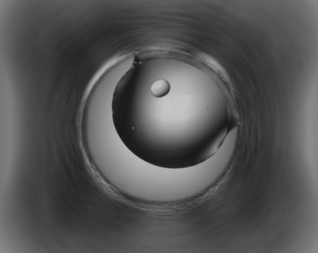 X0000086051138200704131950