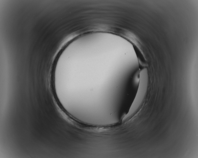 X0000086051139200704131950