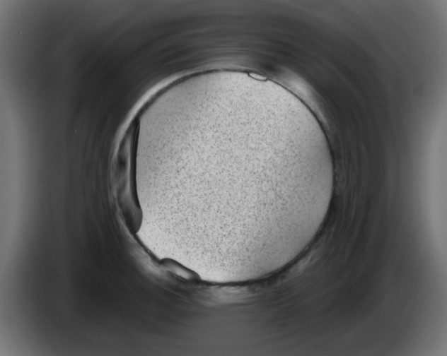 X0000086051140200704131950