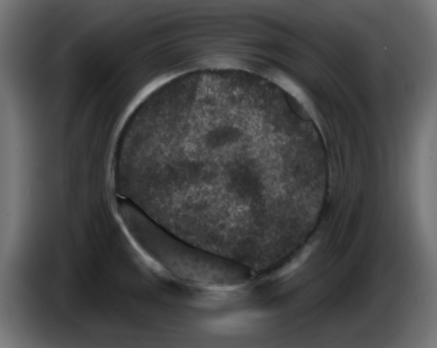 X0000086051141200704131951