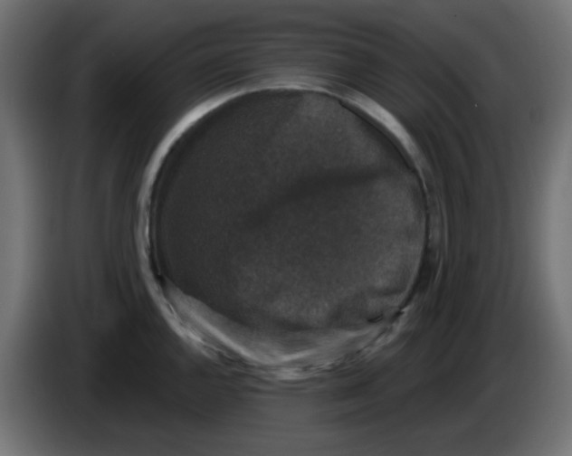 X0000086051144200704131951