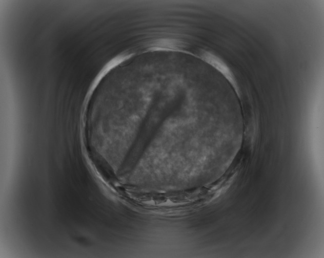 X0000086051146200704131951
