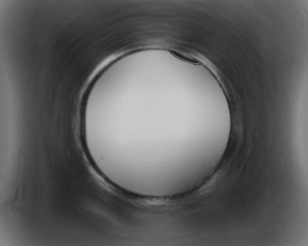 X0000086051147200704131951