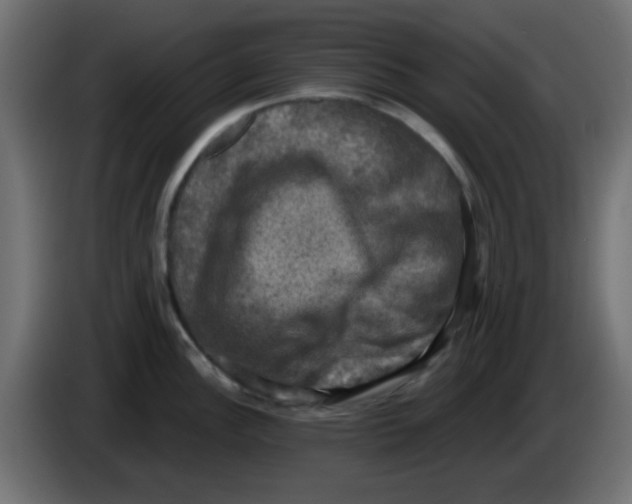 X0000086051148200704131951