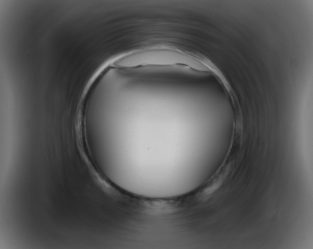 X0000086051149200704131951