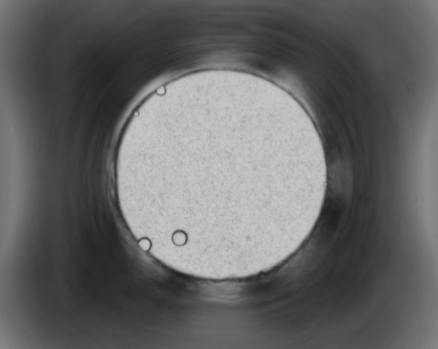 X0000086051150200704131951