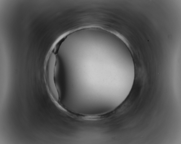X0000086051151200704131951