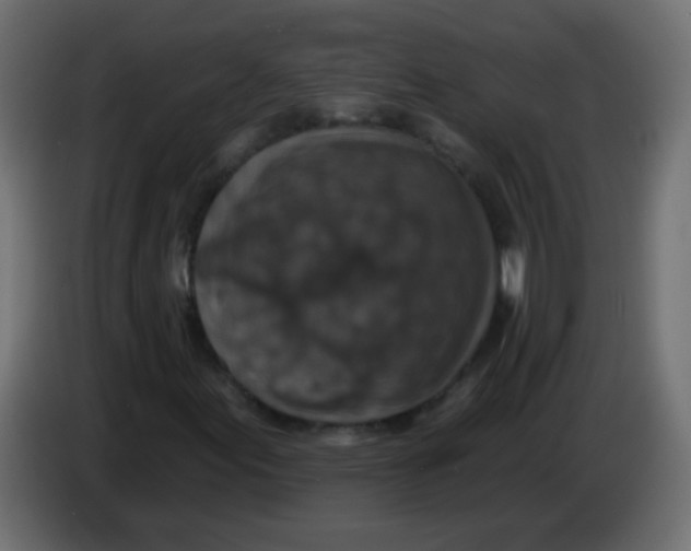 X0000086051155200704131950