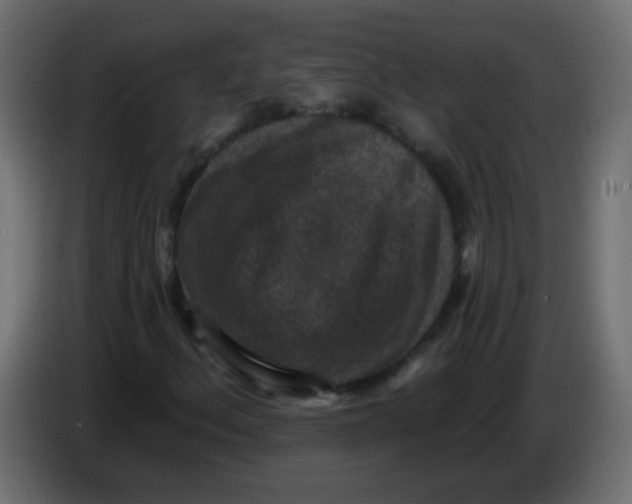 X0000086051156200704131950