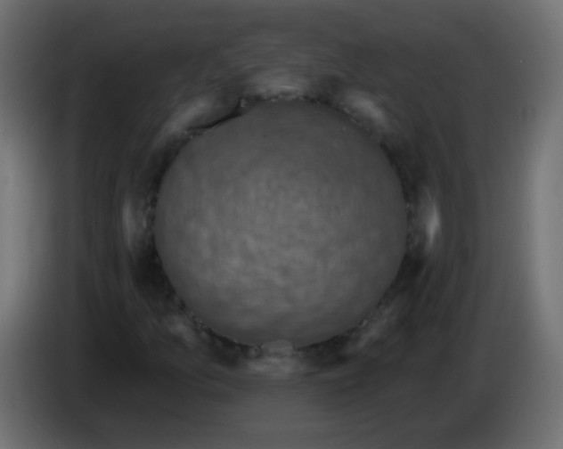 X0000086051157200704131950