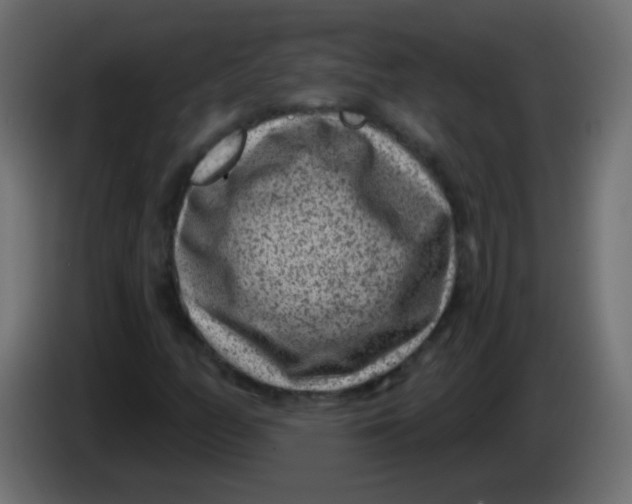 X0000086051158200704131950