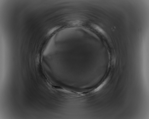 X0000086051161200704131950