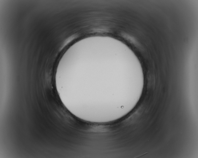 X0000086051162200704131950