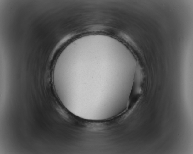X0000086051164200704131950