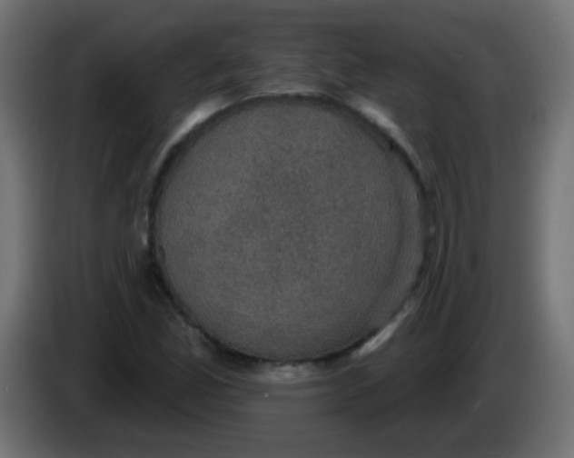 X0000086051165200704131950